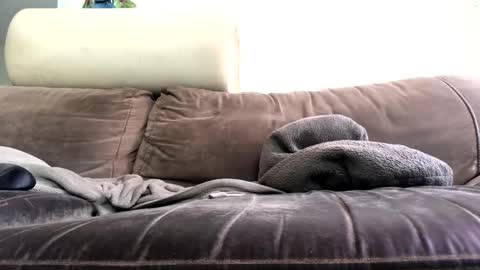 bigboadick online show from October 2025 02:18:02 PM