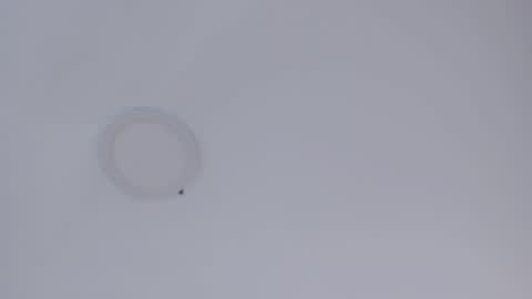   online show from October 2025 09:10:01 AM