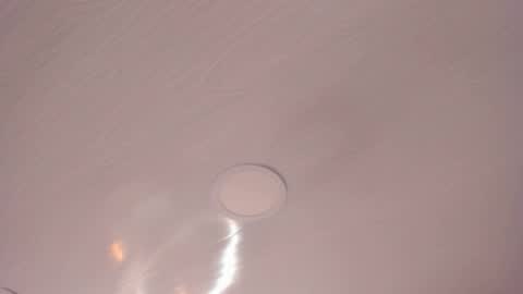   online show from February 2026 10:03:02 AM