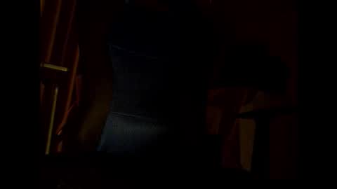 bigbro0007 online show from November 2025 07:03:01 PM