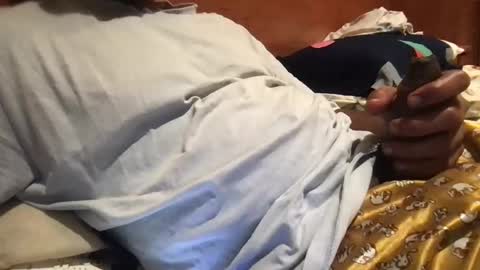 Snapshot of bigbrown_boy chatting on September 2025 07:48:02 PM bigbrown_boy online show from September 2025 07:48:02 PM