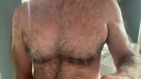 big bush online show from December 2025 11:53:01 PM