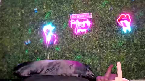 bigbuttsarena online show from May 2026 12:26:02 AM