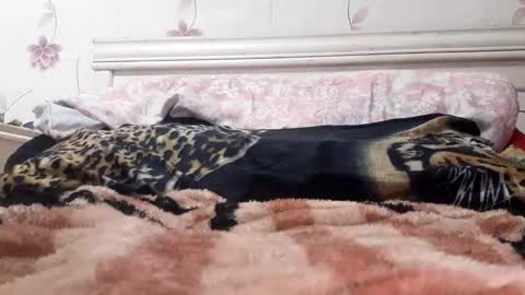 bigcock977654 online show from February 2025 01:13:02 AM