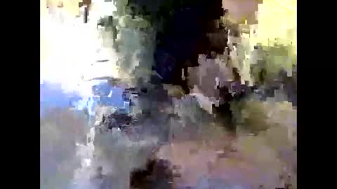 bigdaddydongarlets391292 online show from October 2025 09:17:04 AM