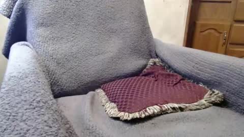 bigdickdaddy567130413 online show from December 2024 02:42:01 PM