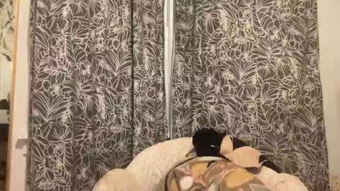 bigdickwalkin online show from February 2026 02:41:02 AM