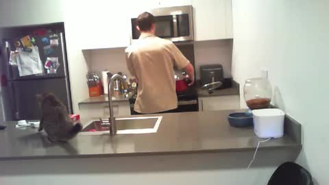 Snapshot of bigdog_112 chatting on October 2025 09:54:02 PM BigWilly online show from October 2025 09:54:02 PM