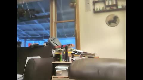 bigelectricrod online show from February 2025 11:54:02 AM