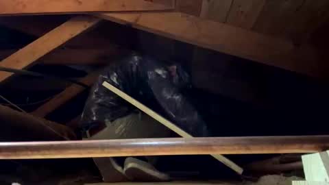 Snapshot of bigjim6646 chatting on September 2025 03:02:02 PM bigjim6646 online show from September 2025 03:02:02 PM