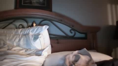 Snapshot of bigload1972 chatting on January 2025 03:09:02 AM bigload1972 online show from January 2025 03:09:02 AM