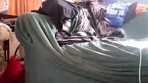 bigmanaround9 online show from December 2024 08:39:02 PM