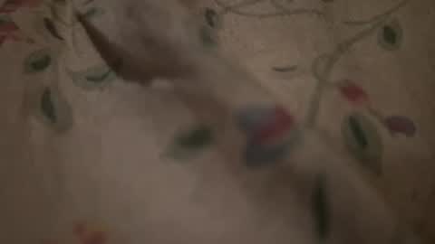 bigpoppadutch666 online show from January 2026 12:53:01 PM