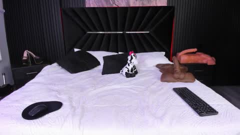 Snapshot of bigsexxyass chatting on November 2025 08:18:01 AM Zayra online show from November 2025 08:18:01 AM