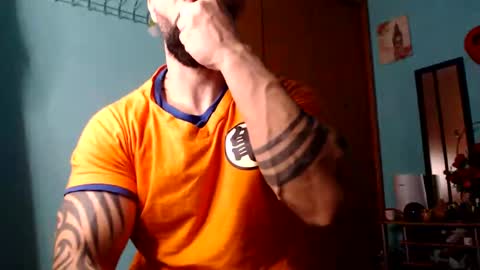 BigStallion online show from December 2024 12:06:02 AM