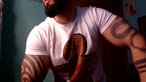 BigStallion online show from December 2024 11:42:02 PM