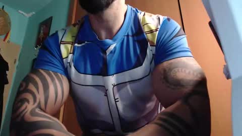 BigStallion online show from September 2025 10:48:02 PM