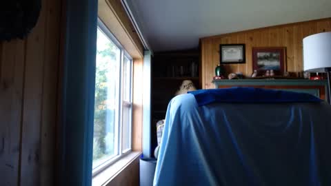Snapshot of bigthicksatisfying2 chatting on September 2025 08:32:02 PM bigthicksatisfying2 online show from September 2025 08:32:02 PM