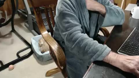 billy471 online show from December 2025 11:52:01 AM