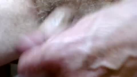 bitexan69 online show from September 2025 09:21:02 AM