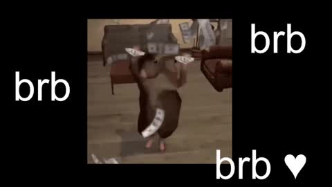  Black Kittie    Wednesday - 1300 - 1900 GMT help me get 100 thumbs up online show from October 2025 01:17:01 PM