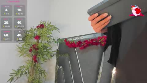 B L A C K  R O S E  online show from February 2025 11:31:02 AM