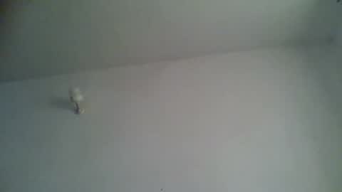 black african online show from November 2025 05:27:02 AM