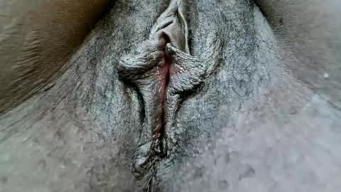 fiona online show from January 2025 01:19:01 PM