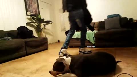 blackriches96 online show from February 2025 10:00:02 AM