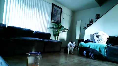 blackriches96 online show from February 2025 03:09:02 PM