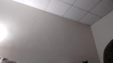 Snapshot of blahblam420 chatting on February 2025 07:50:01 AM blahblam420 online show from February 2025 07:50:01 AM