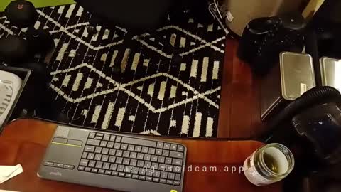 Snapshot of blakjag chatting on February 2025 07:06:01 AM Blackjag00 online show from February 2025 07:06:01 AM