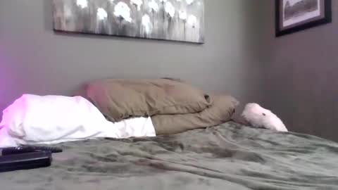 blazeentertainment2025 online show from February 2026 06:09:01 PM