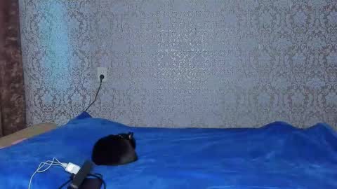 bloemetjes online show from October 2025 05:04:02 AM