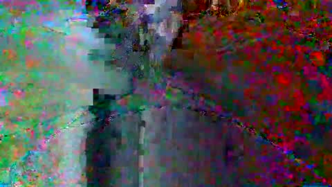 Snapshot of bluegum00 chatting on June 2026 02:01:01 AM bluegum00 online show from June 2026 02:01:01 AM