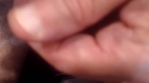 Snapshot of bobswan chatting on September 2025 09:58:01 PM bobswan online show from September 2025 09:58:01 PM