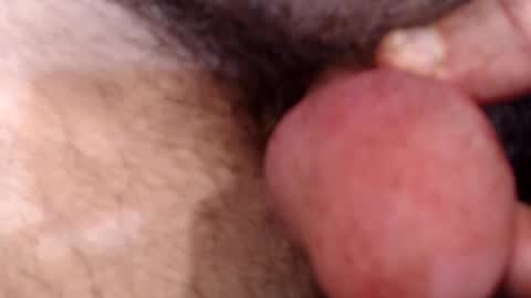 Snapshot of bobswan chatting on September 2025 05:36:02 PM bobswan online show from September 2025 05:36:02 PM