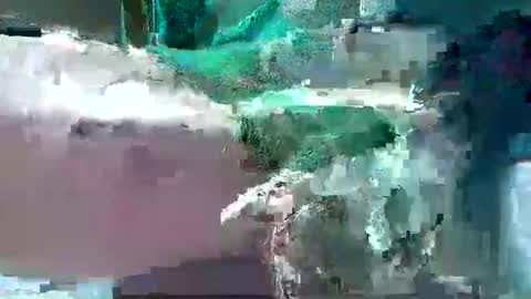 Snapshot of bogey58 chatting on February 2025 04:11:02 PM bogey58 online show from February 2025 04:11:02 PM