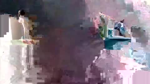 bolbil1 online show from January 2025 06:28:02 AM