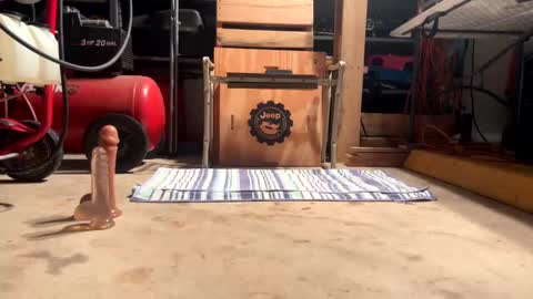 FRECKLES online show from January 2025 01:37:02 AM