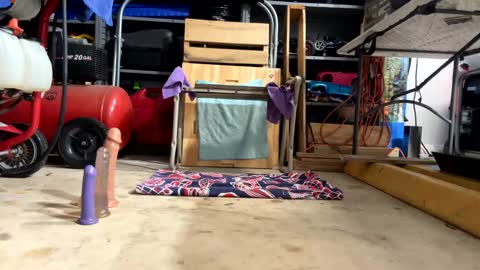 FRECKLES online show from February 2025 02:38:01 AM