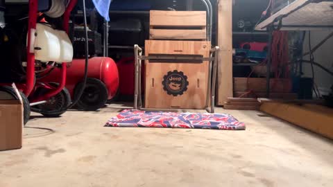 FRECKLES online show from February 2025 11:53:01 AM