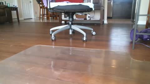 FRECKLES online show from March 2025 06:26:02 PM