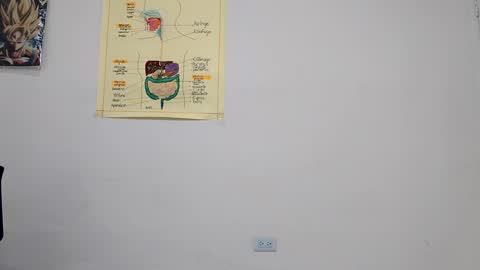 Snapshot of boner_steve chatting on September 2025 03:49:01 AM Boner Steve online show from September 2025 03:49:01 AM