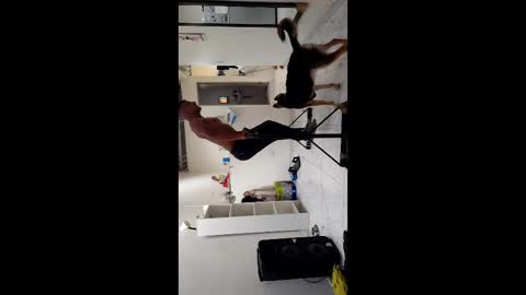 Snapshot of boner_steve chatting on November 2025 07:26:01 PM Boner Steve online show from November 2025 07:26:01 PM