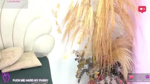 bonieklent online show from February 2026 03:26:01 AM