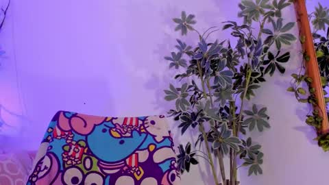   online show from January 2026 11:54:02 PM