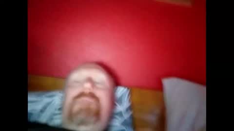 bonzoband online show from February 2025 09:11:01 AM