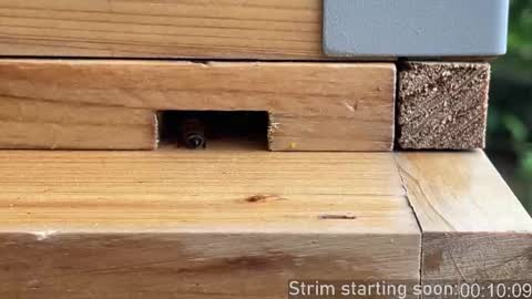 Booker Baxton online show from October 2025 02:56:01 AM