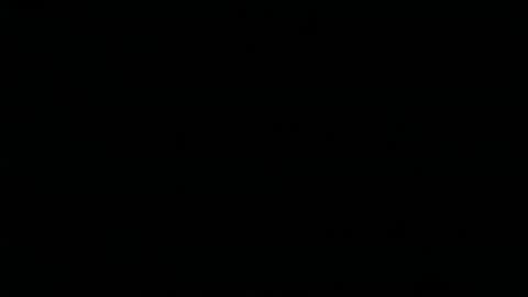 boxersnut1 online show from February 2026 12:29:02 AM